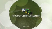 всичко за пчелите - 37876 постижения всичко за пчелите - 73406 постижения